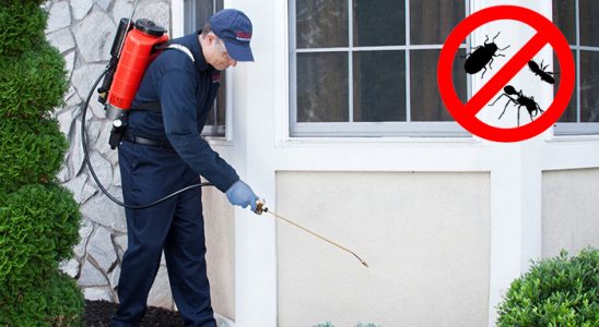 Manisa Bit İlaçlama böcek ilaçlama ve haşere kontrolü — ilaclama-tr.com